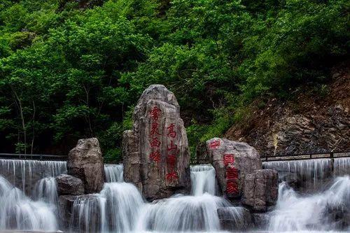 厉害了我的巧虎8